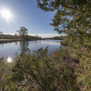 View of Smith Creek