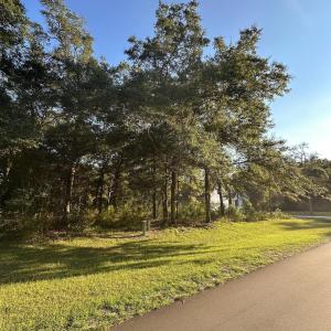 road view 5 ss