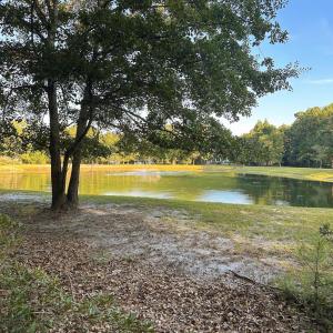 pond view 2 ss