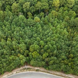 005-486742-DJI_20250917142754_0020_D