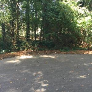 Front of Lot