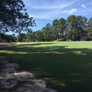 Golf Course View