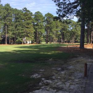 Golf Course View