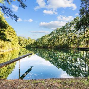 23-web-or-mls-BLS_0020