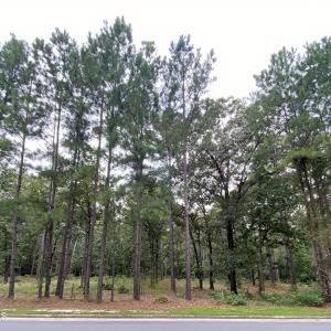 351 Meyer Farm Road