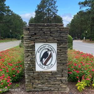 Forest Creek gated community