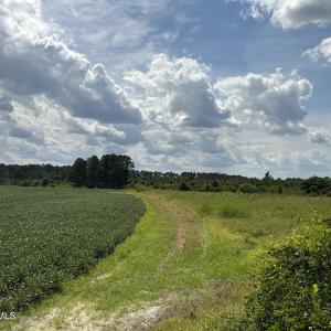 IMG_0397