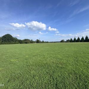 Open Land