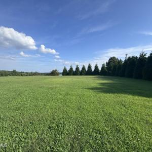 IMG_0519
