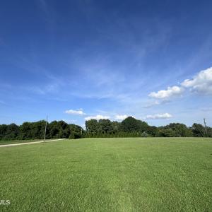 IMG_0520