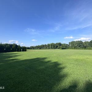 IMG_0525