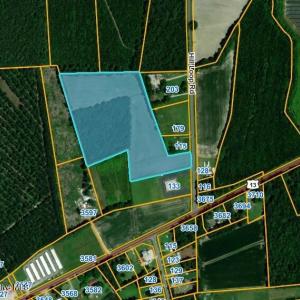 Screenshot_3-9-2025_145516_experience.ar