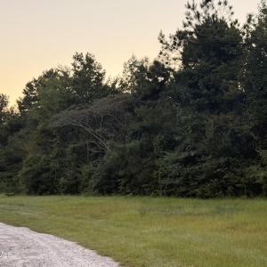 IMG_0646