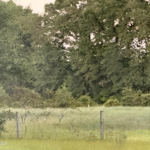 IMG_0664
