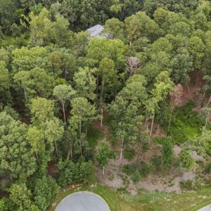 3-web-or-mls-DJI_20250812113610_0149_D