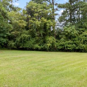 19-web-or-mls-DJI_20250812112742_0147_D