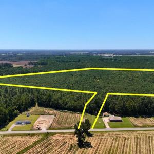 1. Primary Photo Property Lines