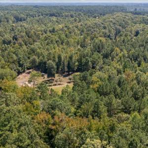 3-web-or-mls-DJI_20250904123346_0972_D