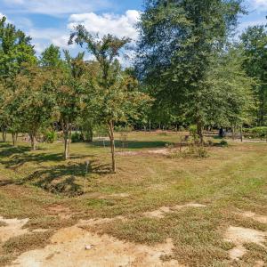 11-web-or-mls-DSC07880