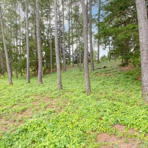 4042 Barnes Bluff-15