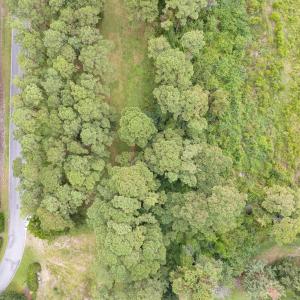 4042 Barnes Bluff-12