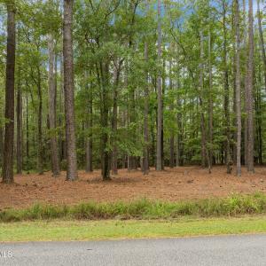 4-web-or-mls-19-print-DJI_0087 (1)