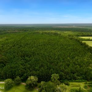 aerial