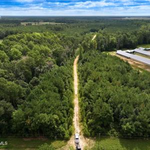 11 - Edited - Edited