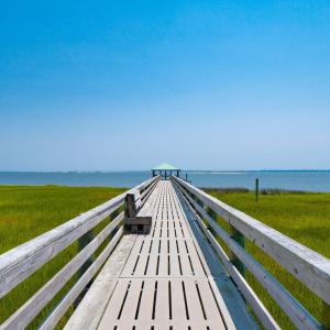 26-web-or-mls-chadwick-visuals-cannonsga