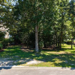 2-web-or-mls-CAMMediaLLC.com ap-30