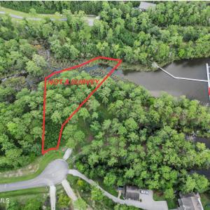 1_your paragraph text (6).png