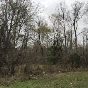 Photo #5 of Lot 95-77 Crocker Hill, Elizabeth City, NC 26.8 acres