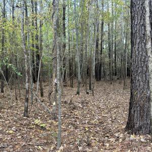 20251109_205129025_iOS