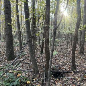 20251109_203424025_iOS