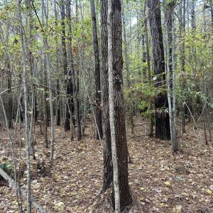 20251109_205133563_iOS