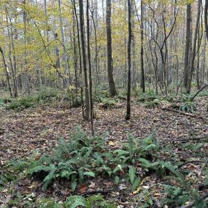 20251109_203419125_iOS