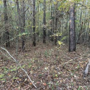 20251109_203429012_iOS