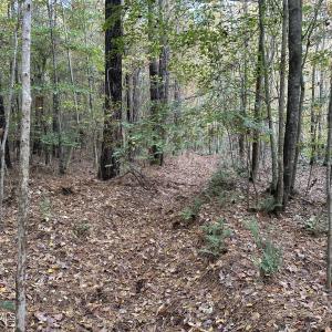 20251109_205125971_iOS