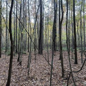 20251109_205121467_iOS