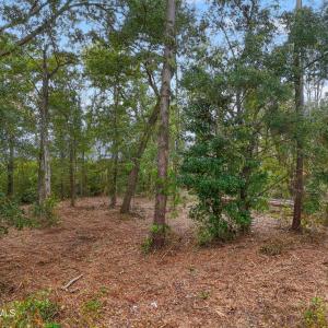 BrookhavenTrailLot - 3