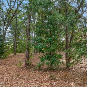 BrookhavenTrailLot - 1