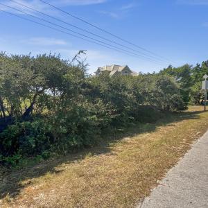 1-IMG_7289_1