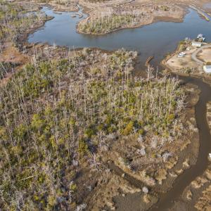 14-web-or-mls-DJI_0339