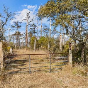 1-web-or-mls-1S3A7896