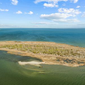 1-web-or-mls-DJI_0201