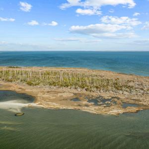 19-web-or-mls-DJI_0283