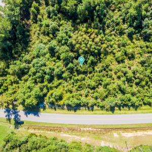 DJI_0840p