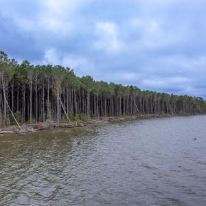 Bluff Point Road Lot-23