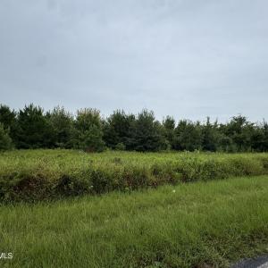 IMG_2748