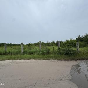 IMG_2741